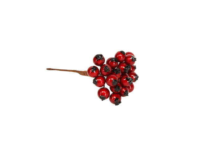 Red Holly Berry Bunch