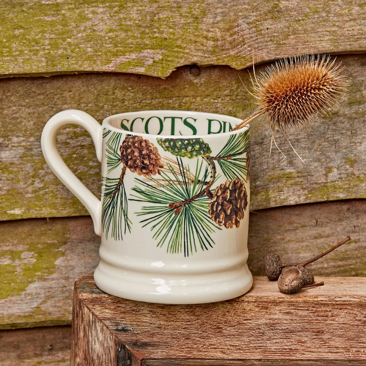 Scots Pine 1/2 Pint Mug