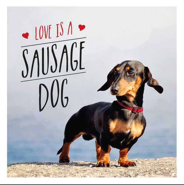 Love is a Sausage Dog