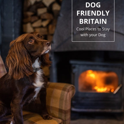 Dog Friendly Britain