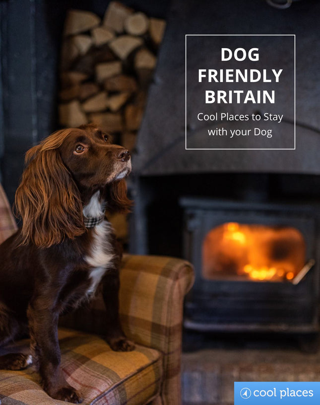 Dog Friendly Britain