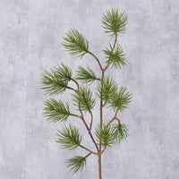 Pine Branch