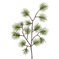 Pine Branch