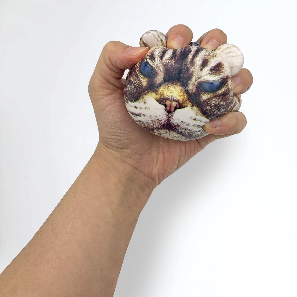 Feline Fire Stress Balls