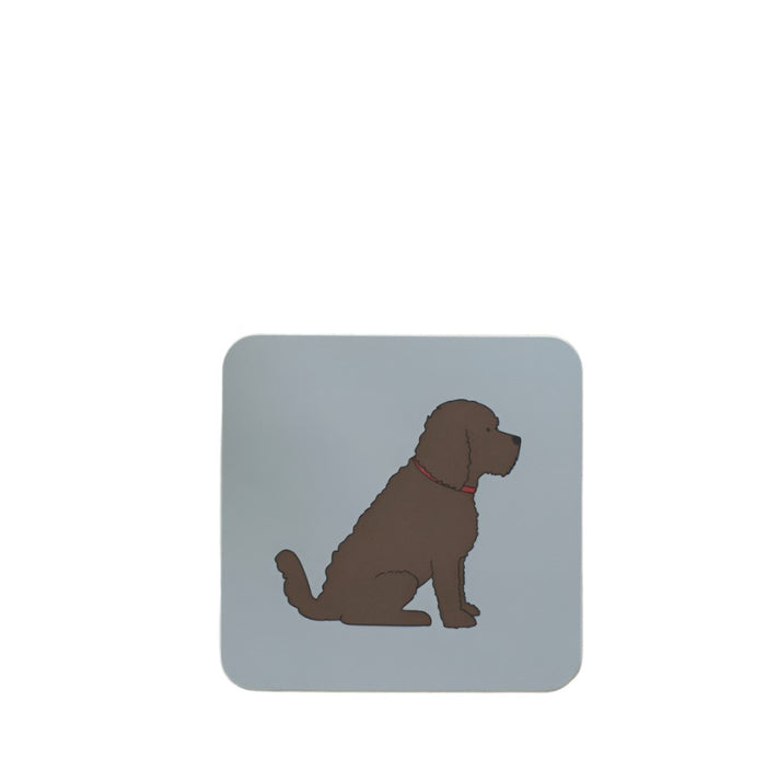 Chocolate Cockapoo/Labradoodle - Coaster