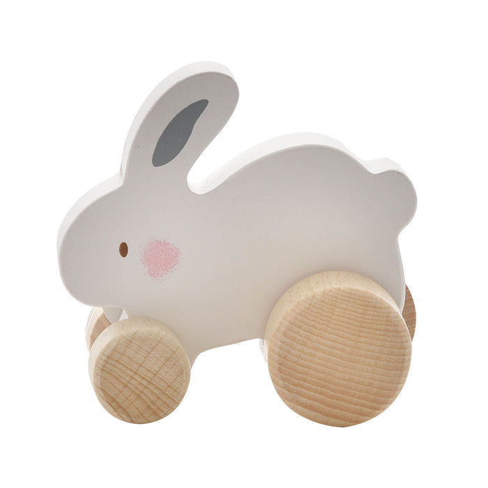 Wooden Toy Push Animals