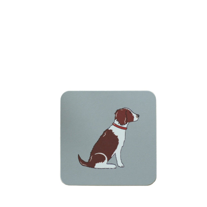 Springer Spaniel - Liver Coaster